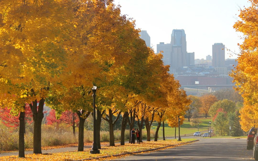 Twin Cities Thrifty Traveler-Fall Edition