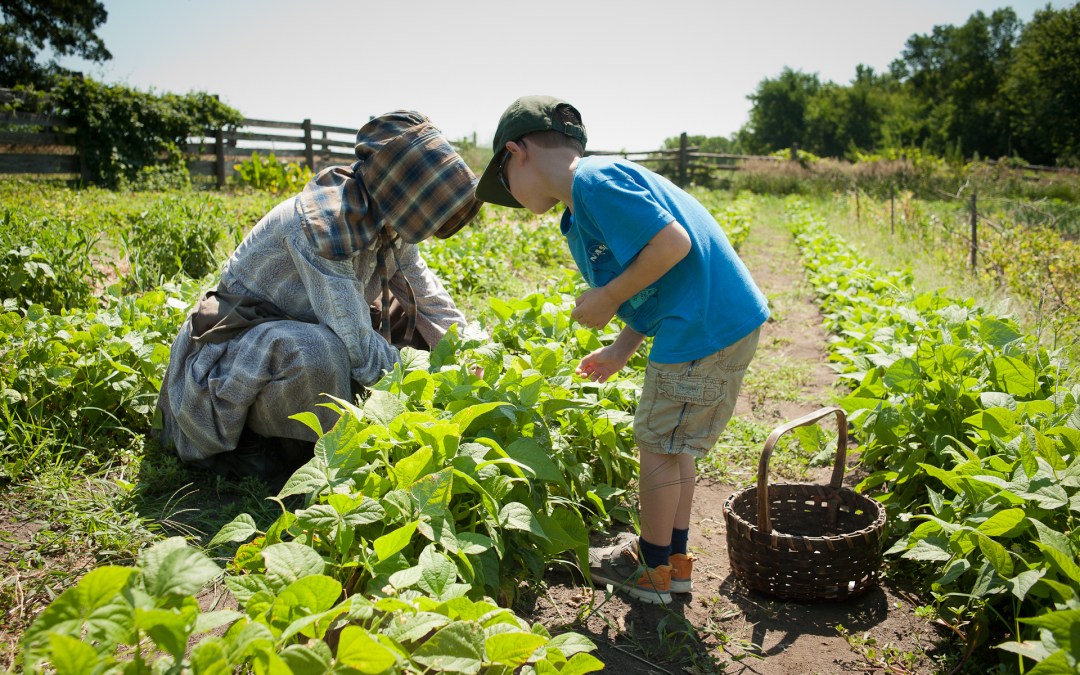 Life on the Farm: Seasonal Programs at Oliver Kelley Farm