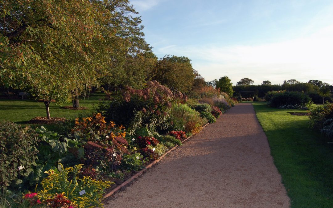 Lake Harriet Rose Garden