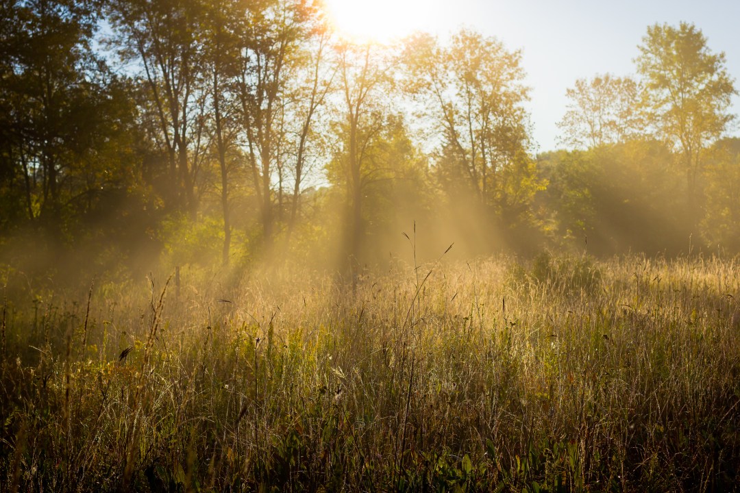 Foggy Morning Photo by <a href=fqnvhi.html target="_blank">Brett Whaley/flickr</a>