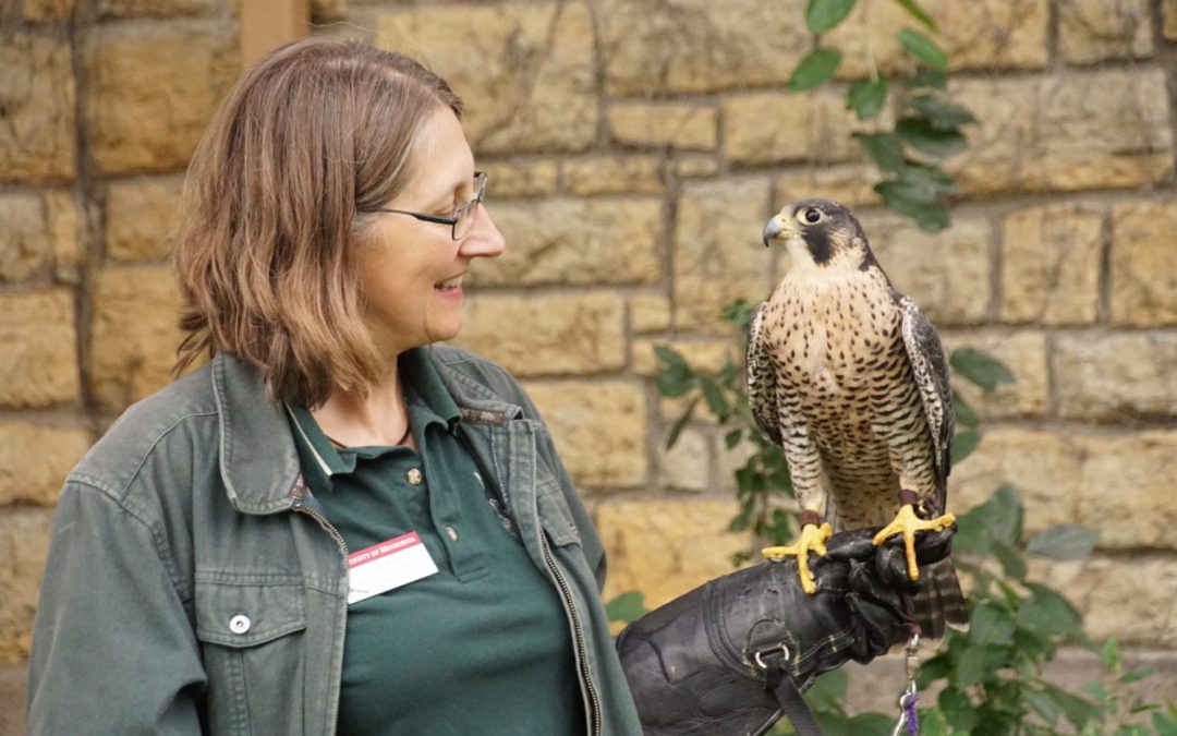 Set Your Sights on the Skies at the Fall Raptor Release