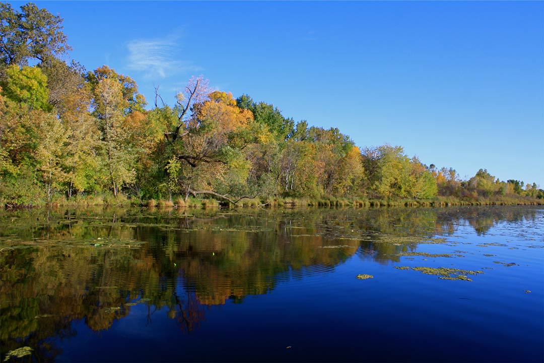 A lake lined with trees during fall at Fort Snelling State Park.