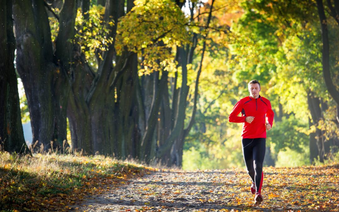 Top 5 Twin Cities Running Trails