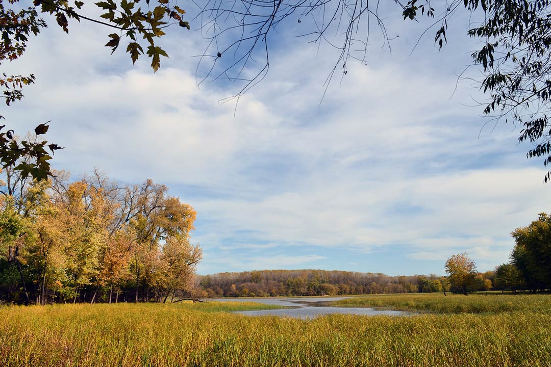 A pond and trees during fall at the Minnesota Valley National Wildlife Refuge.