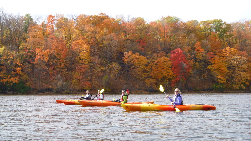 Mississippi River kayakers in front of beautiful fall foliage