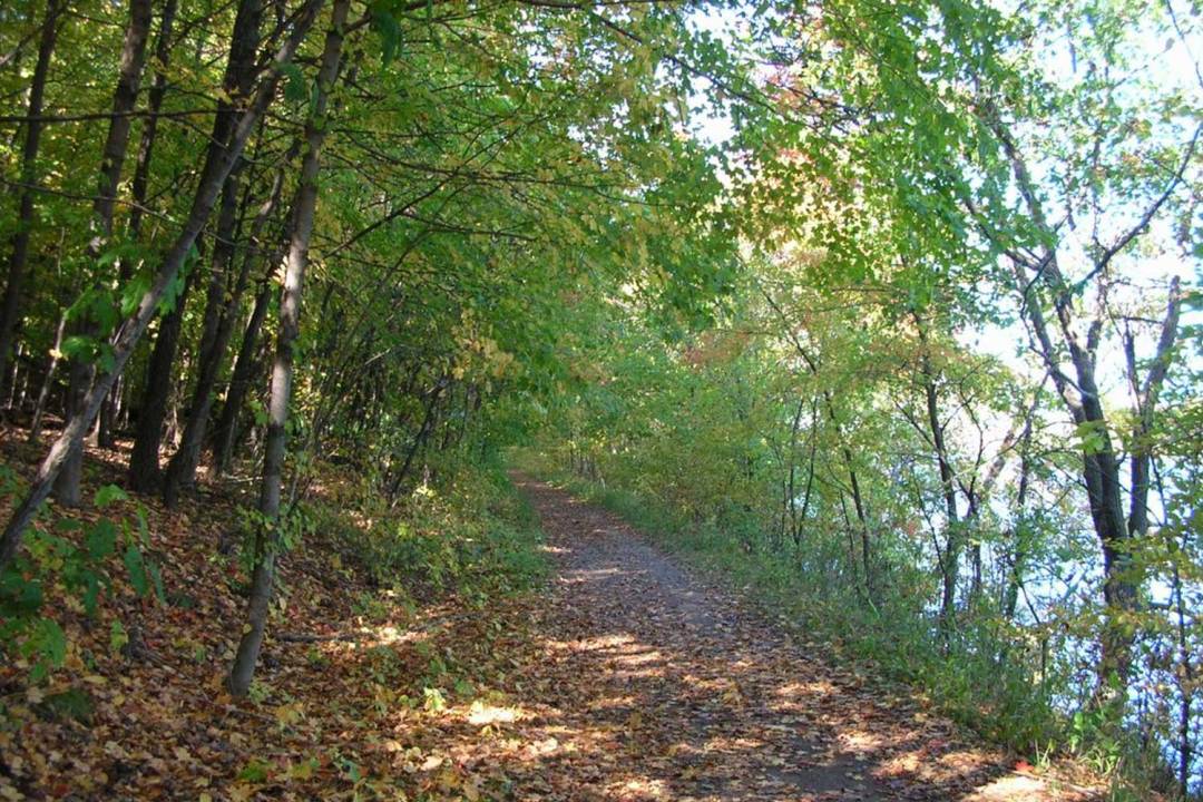 A trail through the woods in Afton State Park. Seven Wonders of the Twin Cities.