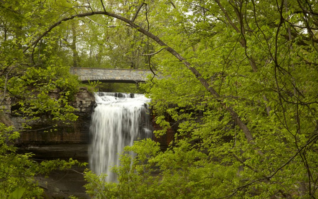 Nature-Centric Parks