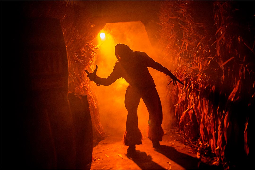 A zombie scarecrow in a corn maze at ValleySCARE, one of the the many haunted houses in the Twin Cities.