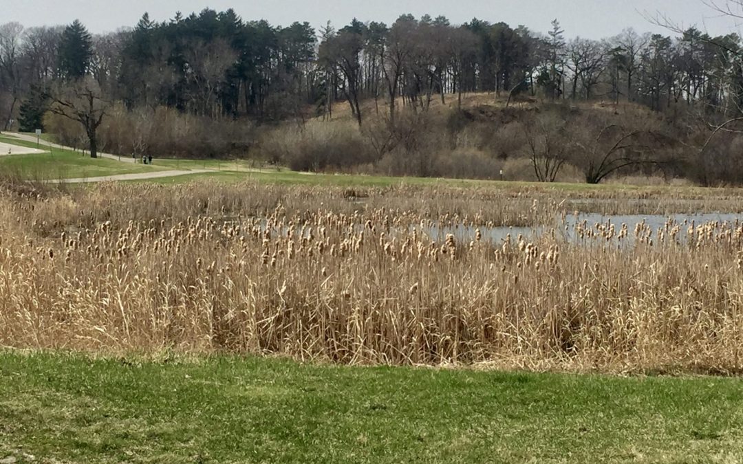 Sensational State Parks: Theodore Wirth Park